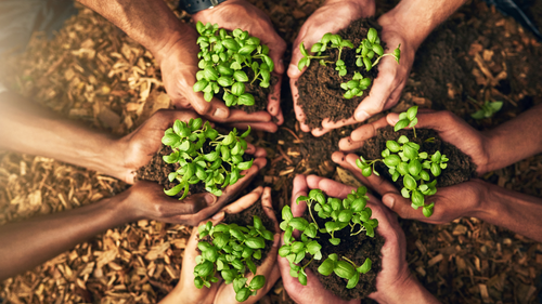 Agents Of Change: 10 Indian Organisations Transforming The Environmental Landscape